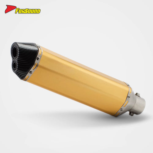 RS Original Modified Universal Stainless Steel New Exhaust Pipe Gold Body Lengthened Hexagonal Double Hole Tail Section 51Mm