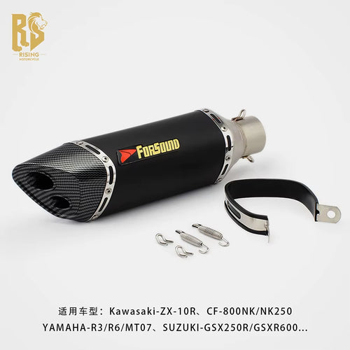 RS for Carbon Fiber Motorcycle Exhaust Pipe with Double Hole Tail for CBR 500 800NK T 700 752S 500F Models