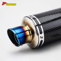 Stainless Steel Carbon Fiber 51Mm over Retro Long End Can Exhaust Pipe for Universal Motorcycle Pipe